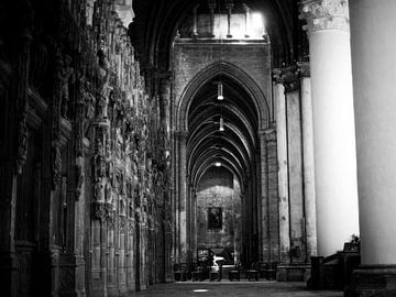 Frankrijk Chartres Gang van Albert Hartwig