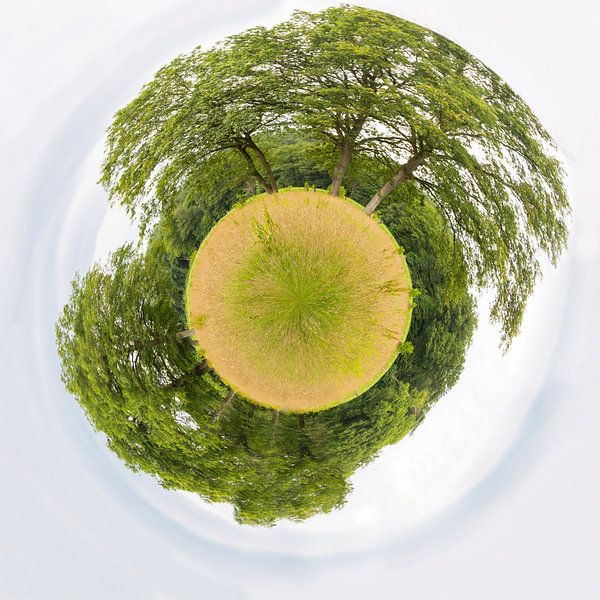 Grass with trees in a circle like little planet in summer season by Ben Schonewille