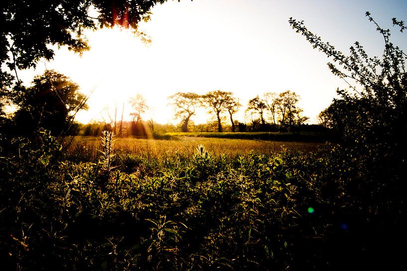 Lente by Lisette Breur