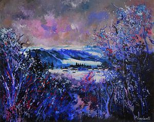 Winter van pol ledent