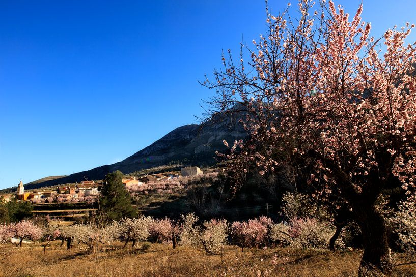 Le printemps en Espagne par Marian Merkelbach