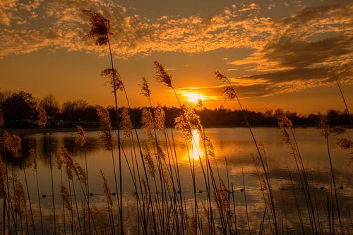Zonsondergang aan het water achter het riet