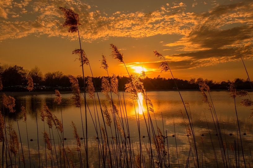Zonsondergang aan het water achter het riet van Rick van de Kraats