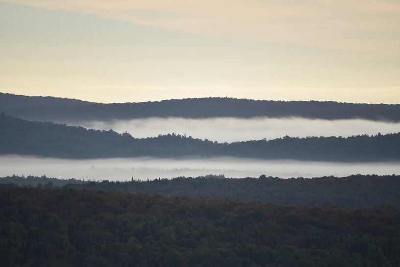 A mist on an autumn morning by Claude Laprise