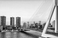 Skyline van Rotterdam met Erasmusbrug i n zwart wit van Patricia Hofmeester thumbnail