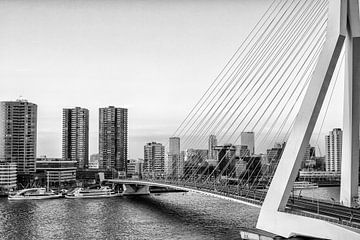 Skyline van Rotterdam met Erasmusbrug i n zwart wit van Patricia Hofmeester