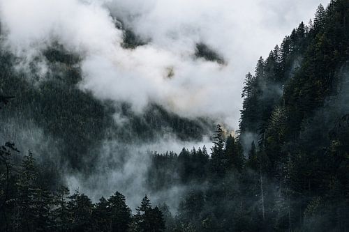 De ruige bergen van North cascade national park