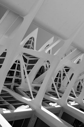 VALENCIAN ARCHITECTURE