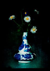 Old fashioned Daisies. by David English