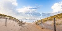 beach and dunes