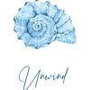 Unwind - Blue Watercolour Shell Illustration | Restful Coastal Wall Decoration (Décoration murale côtière reposante) sur Marian Nieuwenhuis