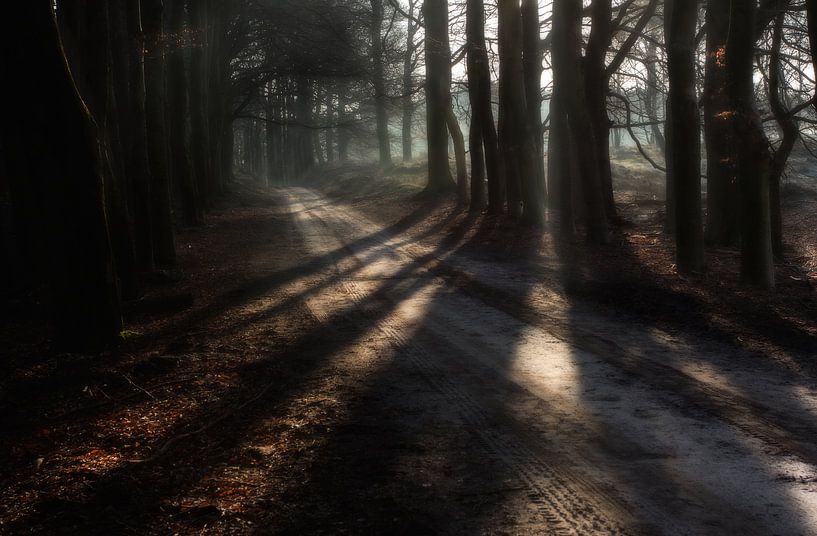 Schaduwen von Gertjan van Veldhuisen