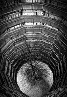 Treetop walk