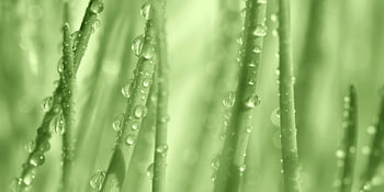 Goutte d'eau