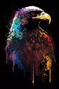 Bird of Prey of Colour by Spacetraveler thumbnail