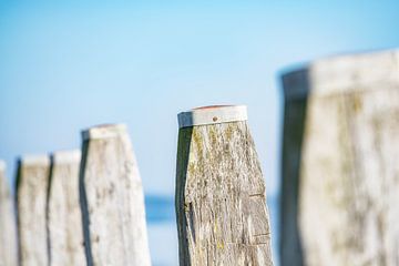 Mooring posts in the tidal harbour of Schiermonnikoog by Ron van der Stappen