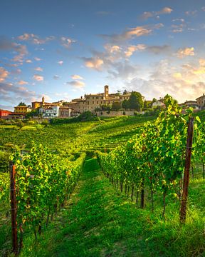 Vignobles des Langhe et village de Neive, Piémont, Italie