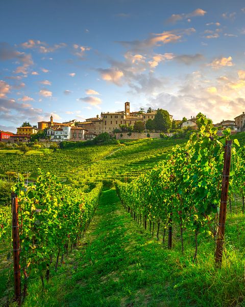Weinberge der Langhe und das Dorf Neive, Piemont, Italien von Stefano Orazzini