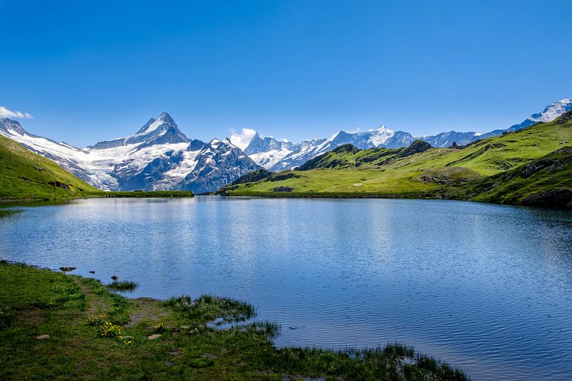 Bergmeer Bachalpsee en besneeuwde bergtoppen in de achtergrond van Steven Van Aerschot