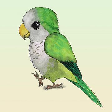 Schattige papegaai van Bianca Wisseloo