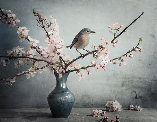 Bird on blossom branches in a vase