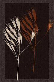 Grass pluim in burnt orange and cream on brown linen look. by Dina Dankers