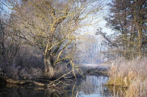 Winterse sfeer aan de rivier
