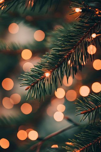 Christmas tree lights