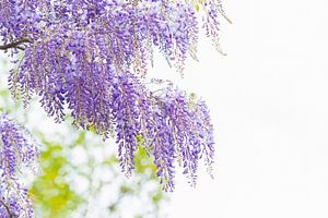 Frühling