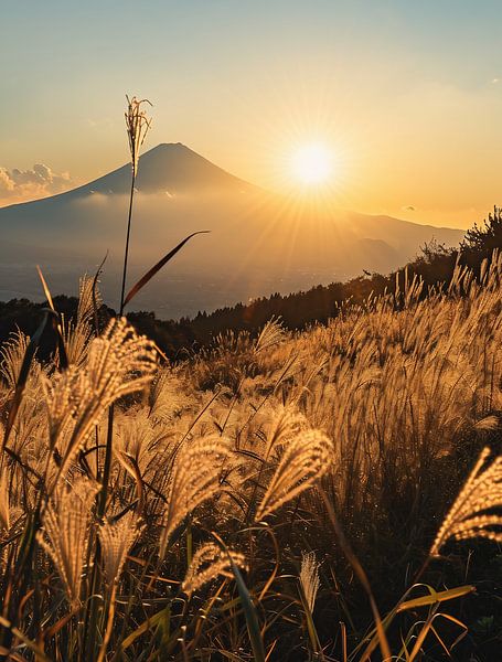 Ambiance automnale au lever du soleil par fernlichtsicht