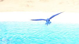 Blue Macaw by Matthias Spartz