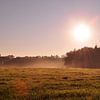 Sunrise with dew in the Achterhoek region by Arno Wolsink