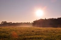 Zonsopkomst met dauw in de Achterhoek