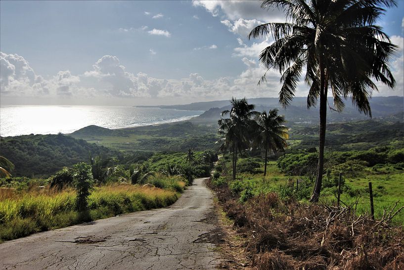 Barbados by ilja van rijswijk