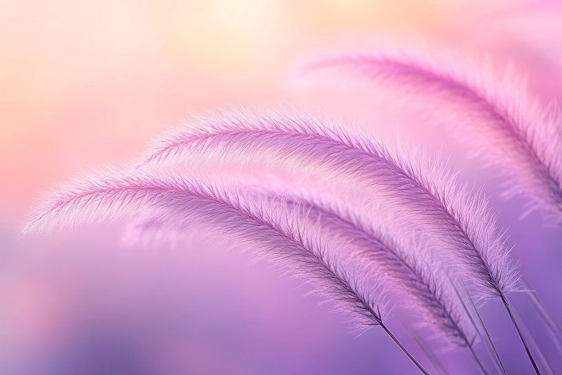 Delicate grasses in the evening light - pastel colours by Poster Art Shop