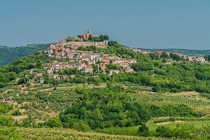 Vue sur la colline de Motovun, Istrie, Croatie