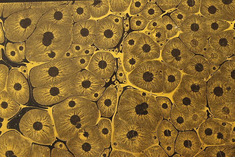 Art numérique Motif coloré Marbré Cellules de couleur par Michael Godlewski