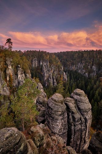 Montagnes de grès de l'Elbe
