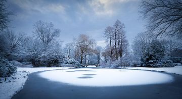 Heempark in winter van Thijs Friederich