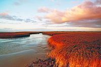 Die faszinierende Landschaft der Emsmündung