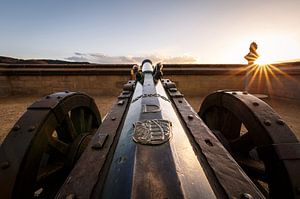 Canon sur le château de Wernigerode