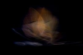 Gouden Bladeren | Abstracte Fotokunst