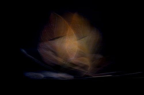 Gouden Bladeren | Abstracte Fotokunst van Arma Kremers