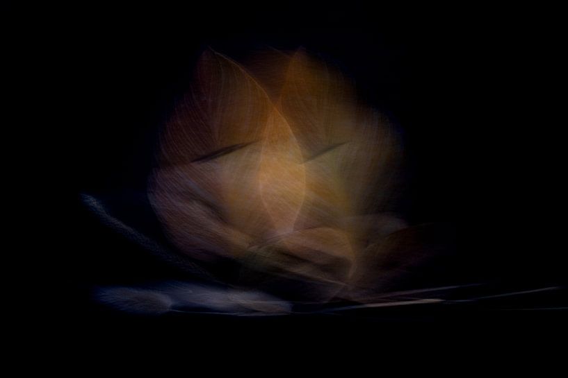 Goldene Blätter | Abstrakte Fotokunst von Arma Kremers