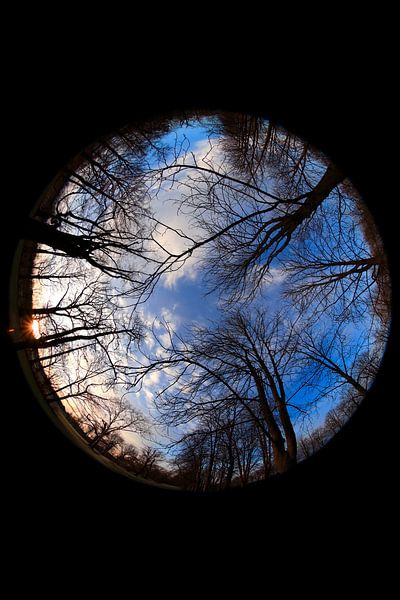 Regard vers le ciel un soir d'hiver par Thomas Jäger