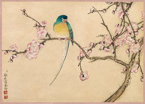 Bird with Plum Blossoms (18th Century) painting by Zhang Ruoai.