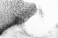 Wanderfalke vertreibt Starenschwarm