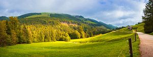 Panorama des Appenzellerlandes, Schweiz