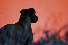 Act on Instinct 2 by Bob Pieck