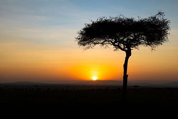 Zonsopkomst in Afrika. van Gunter Nuyts